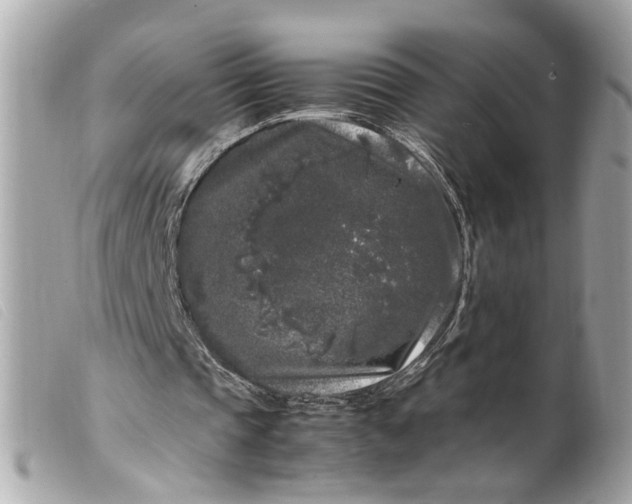 X0000099550337200805301525