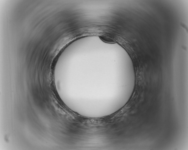 X0000099550338200805301525