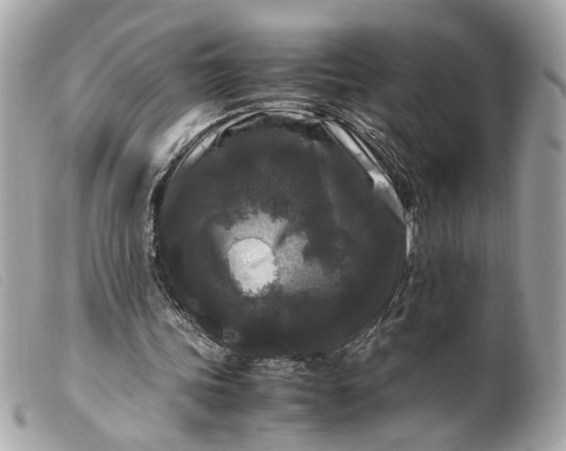 X0000099550339200805301525