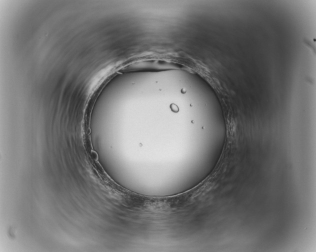 X0000099550340200805301525