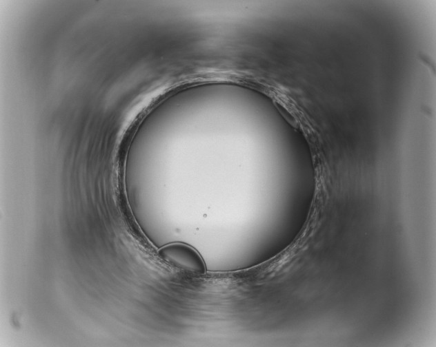 X0000099550342200805301525