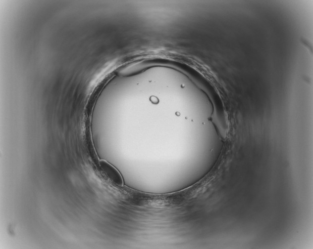 X0000099550344200805301525