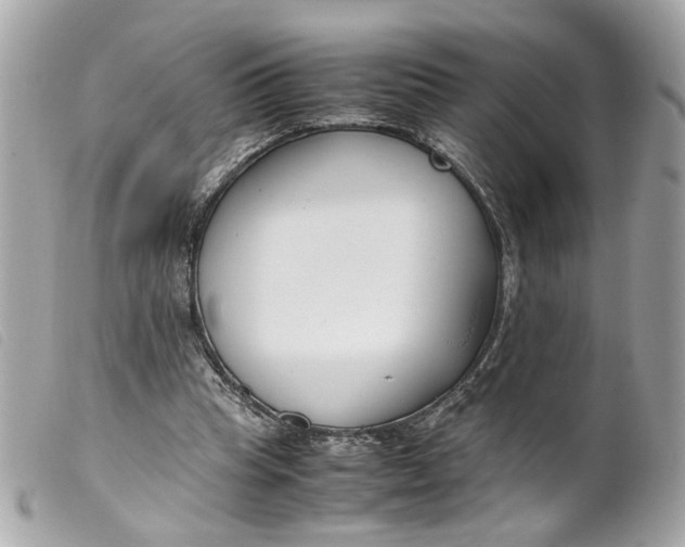 X0000099550345200805301525