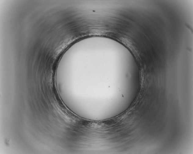 X0000099550346200805301525