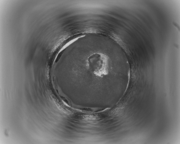 X0000099550347200805301525