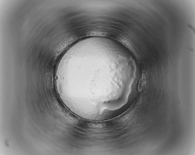 X0000099550349200805301525