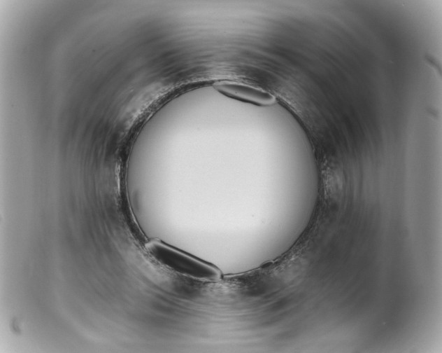 X0000099550350200805301525