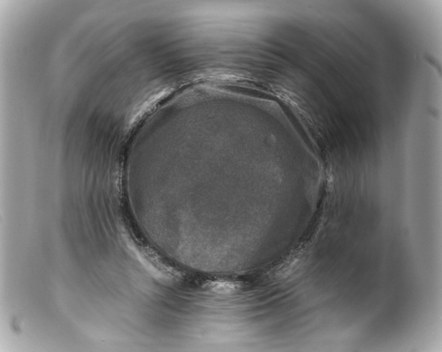 X0000099550352200805301525