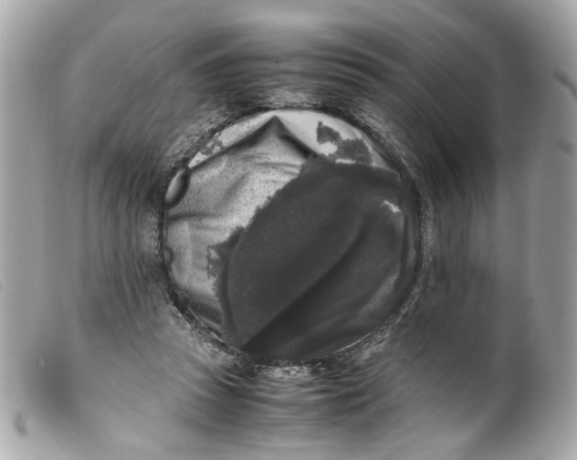 X0000099550353200805301525