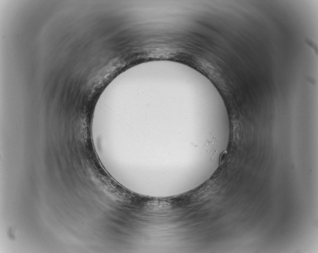 X0000099550354200805301525