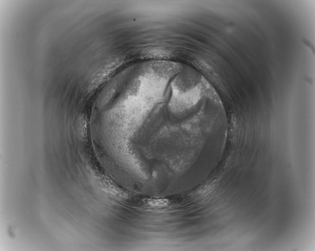 X0000099550355200805301525