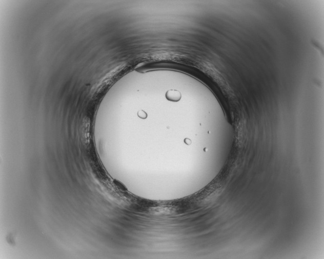 X0000099550356200805301525