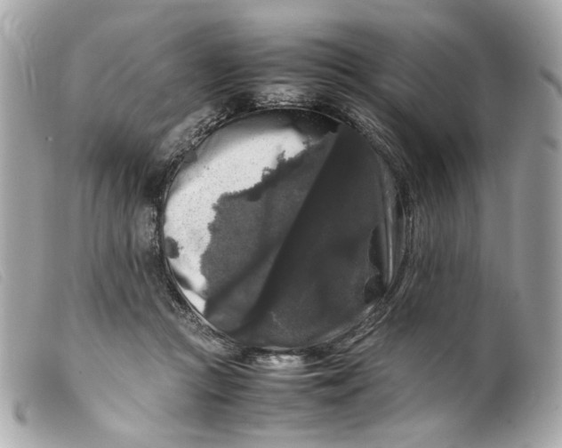 X0000099550361200805301525