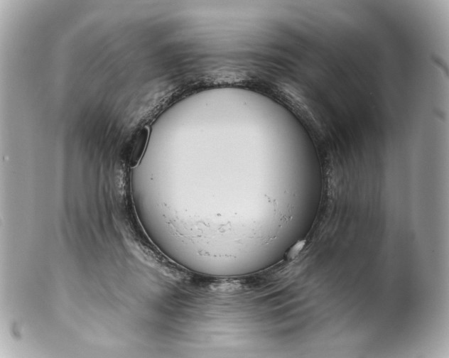 X0000099550362200805301525