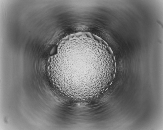 X0000099550363200805301525