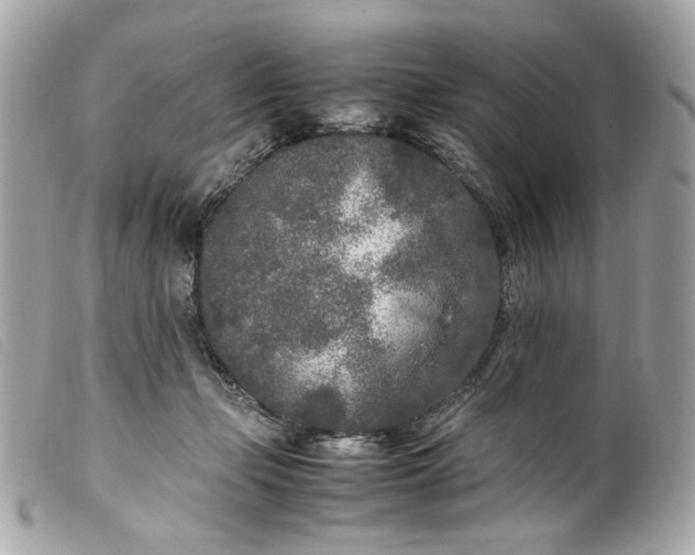 X0000099550365200805301525