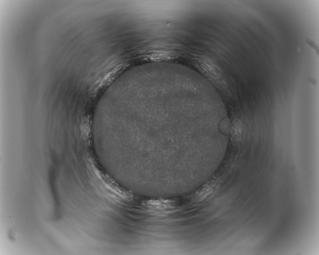 X0000099550367200805301525