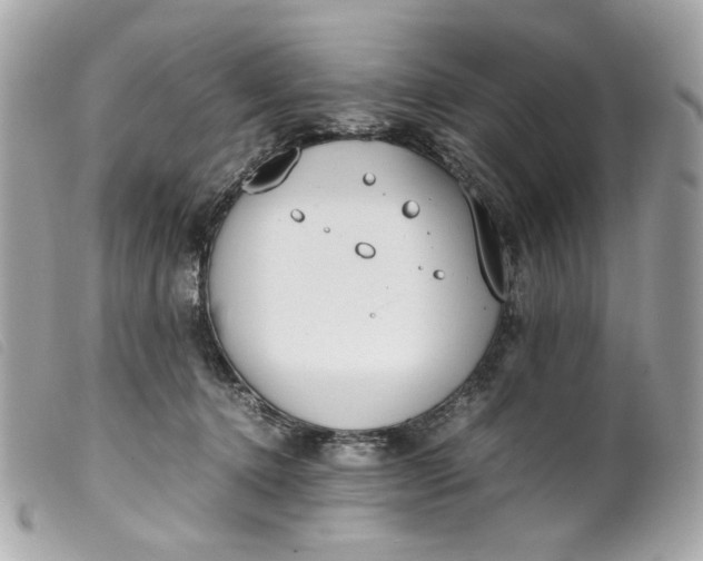 X0000099550368200805301525