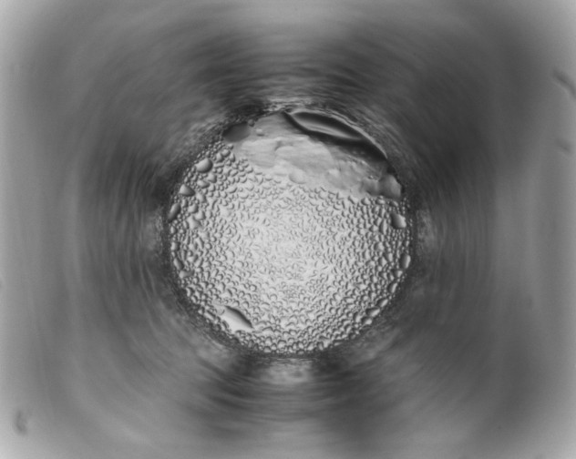 X0000099550369200805301525