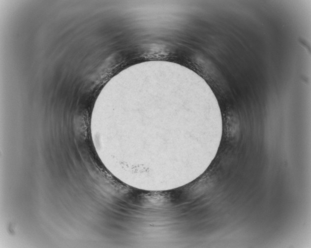 X0000099550370200805301525