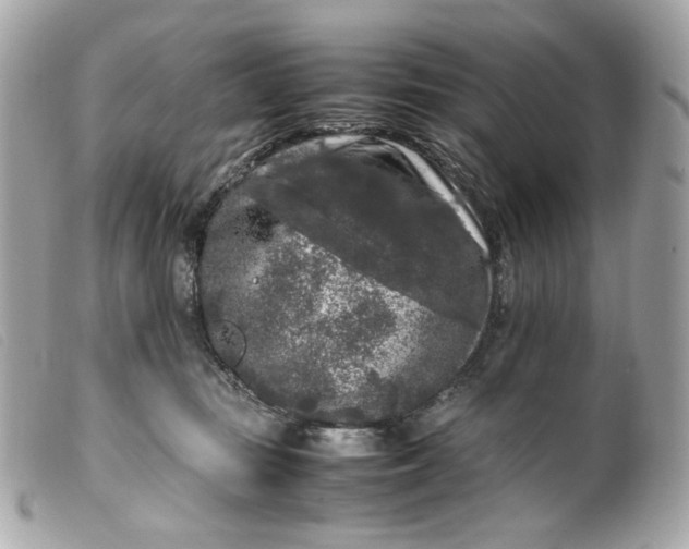 X0000099550371200805301525