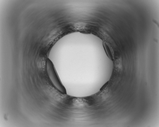 X0000099550372200805301525