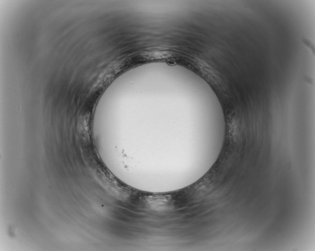 X0000099550373200805301525