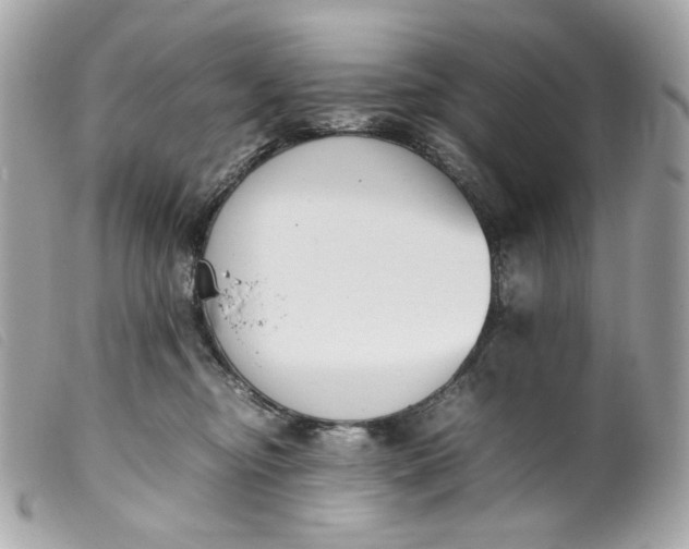 X0000099550374200805301525