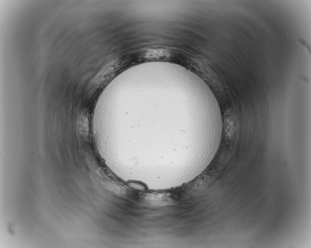 X0000099550375200805301525