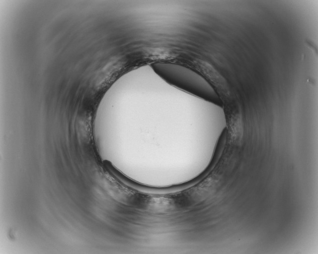 X0000099550376200805301525