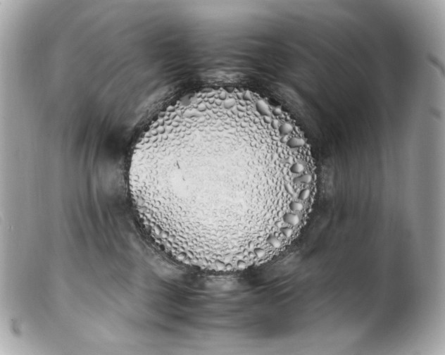 X0000099550377200805301526