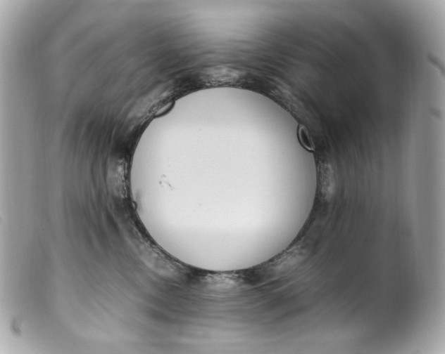 X0000099550378200805301526