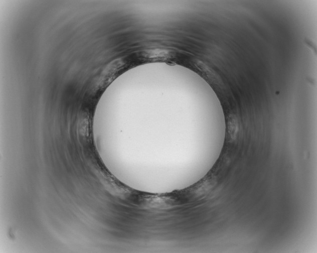 X0000099550379200805301526