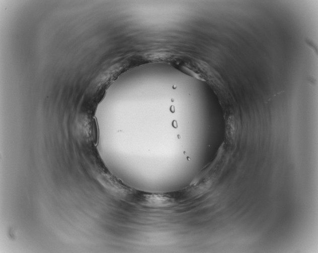 X0000099550380200805301526