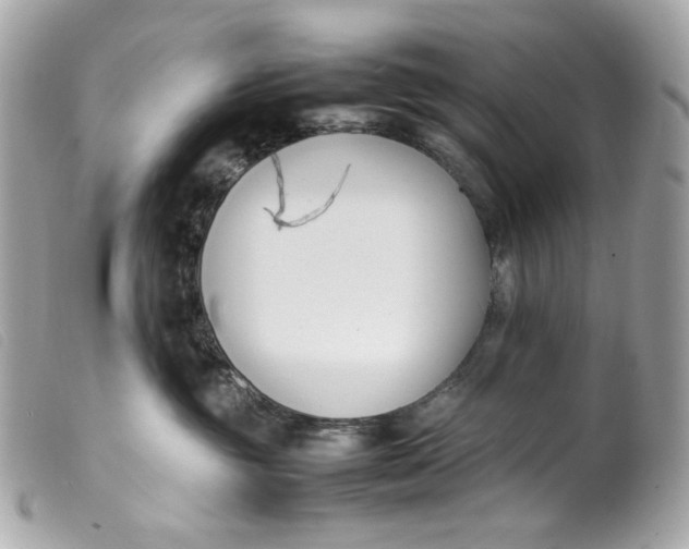 X0000099550381200805301526