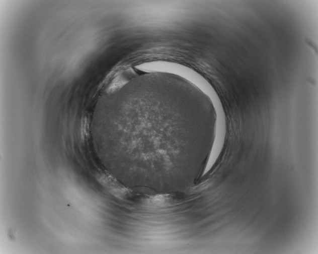 X0000099550382200805301526