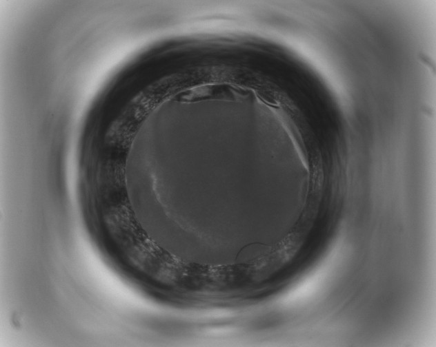 X0000099550383200805301526