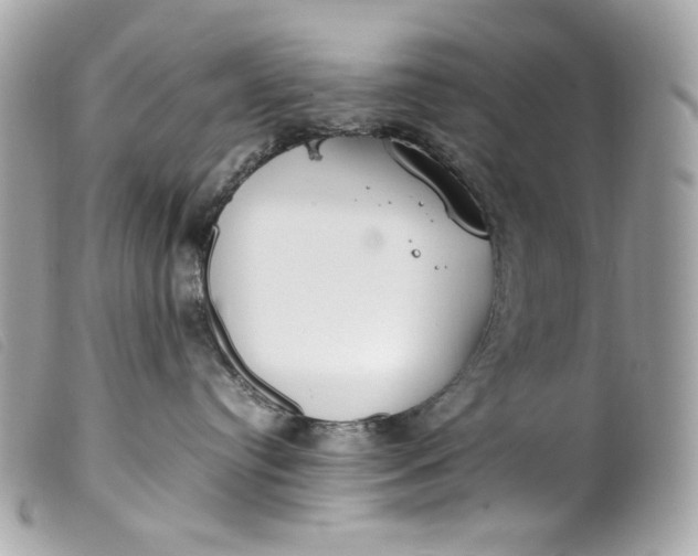 X0000099550384200805301526