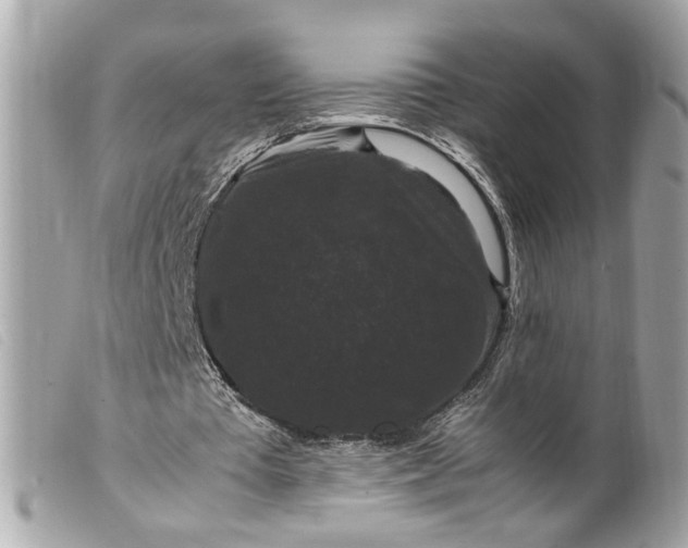 X0000099550385200805301525