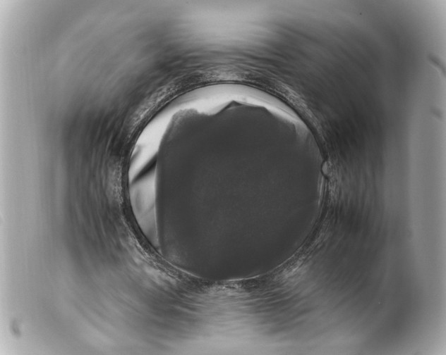 X0000099550386200805301525