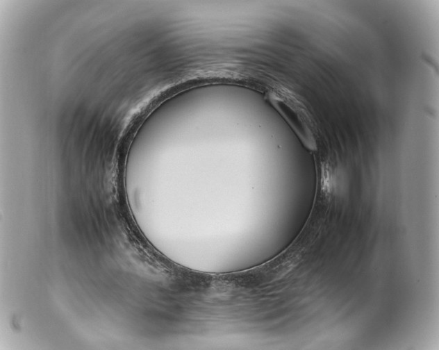 X0000099550388200805301525