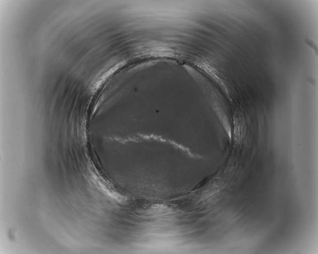 X0000099550390200805301525