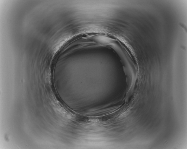 X0000099550391200805301525