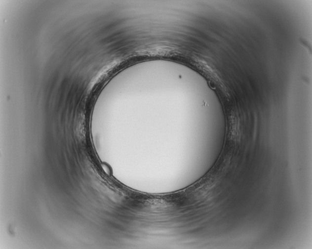 X0000099550392200805301525