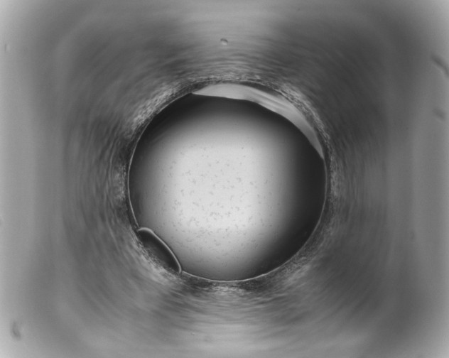 X0000099550393200805301525