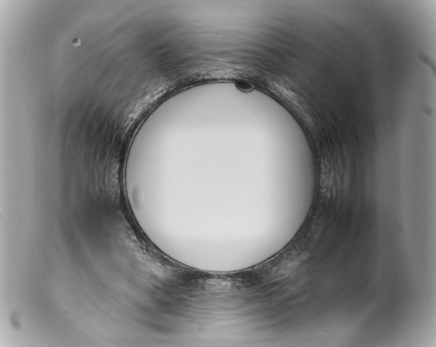 X0000099550394200805301525