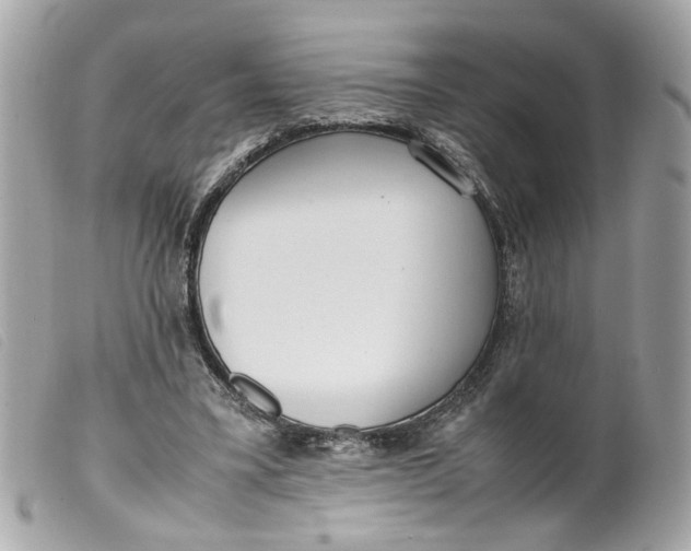 X0000099550395200805301525