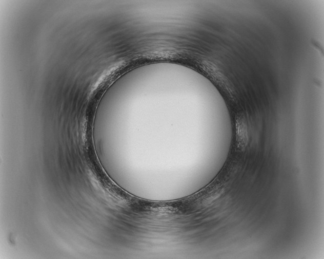 X0000099550396200805301525