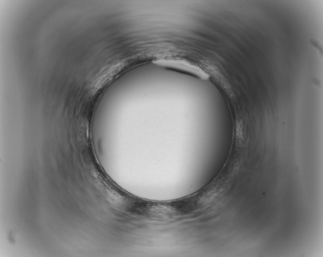 X0000099550397200805301525