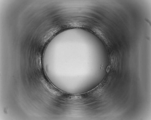 X0000099550398200805301525